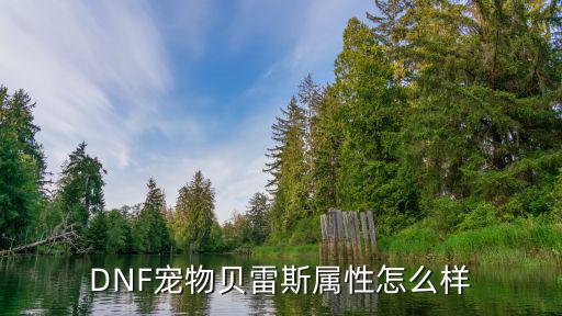 DNF宠物贝雷斯属性怎么样