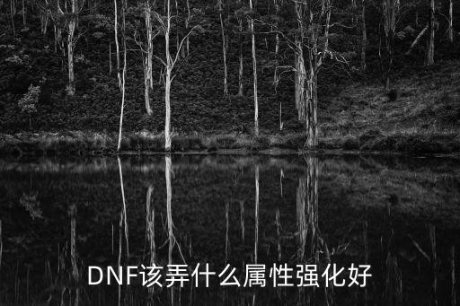 DNF该弄什么属性强化好