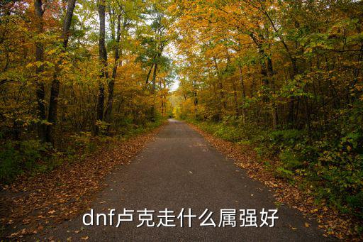 dnf卢克走什么属强好