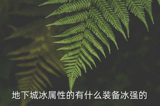 地下城冰属性的有什么装备冰强的