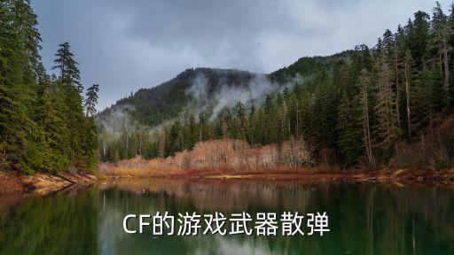 CF的游戏武器散弹