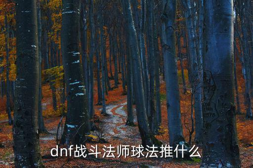 dnf战斗法师球法推什么