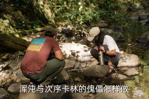 烟雨江湖手游傀儡怎么做，浑沌与次序卡林的傀儡怎样做