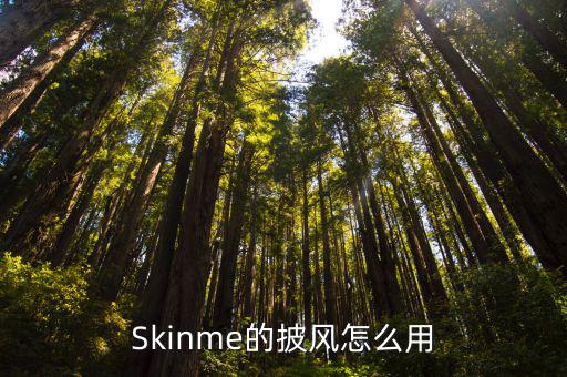 Skinme的披风怎么用