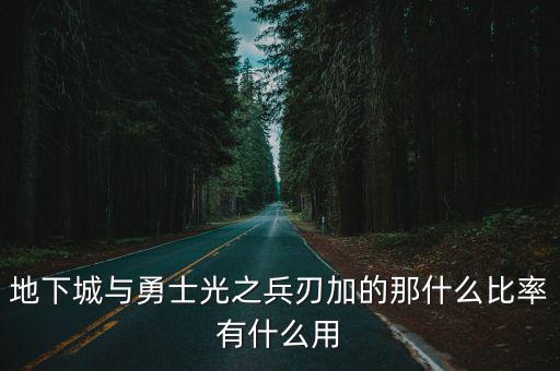 DNF光兵加的什么属性，光之兵刃的满级属性究竟是加什么