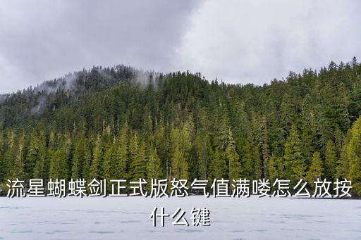 流星蝴蝶剑正式版怒气值满喽怎么放按什么键