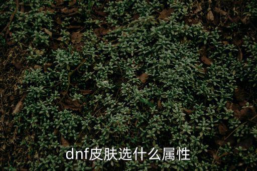 dnf皮肤选什么属性