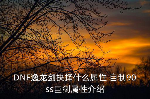 DNF逸龙剑抉择什么属性 自制90ss巨剑属性介绍