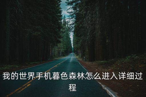 我的世界手机暮色森林怎么进入详细过程