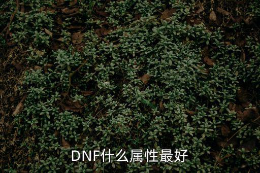 DNF什么属性最好