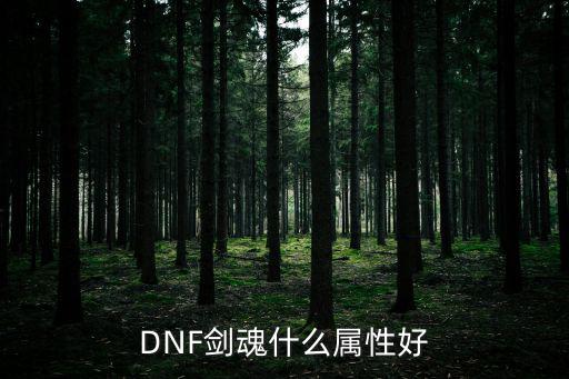 DNF剑魂什么属性好