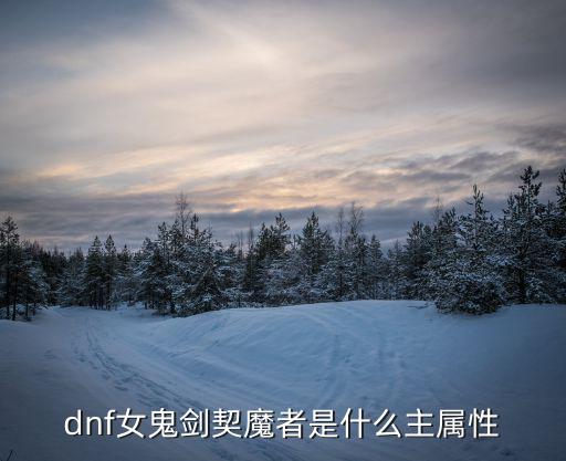 dnf契魔者打什么属性，DNF契魔者走什么属性比较好