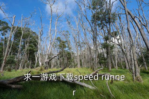 多人停车场手游怎么下载，求一游戏下载speed runner