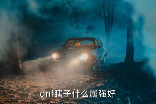 dnf瞎子套什么属性好，dnf瞎子什么属强好