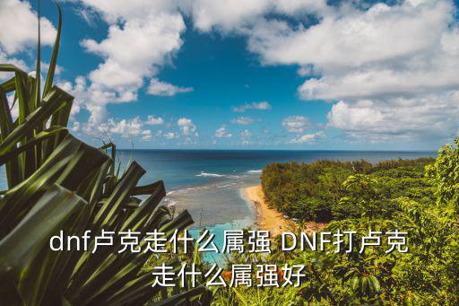 dnf卢克走什么属强 DNF打卢克走什么属强好