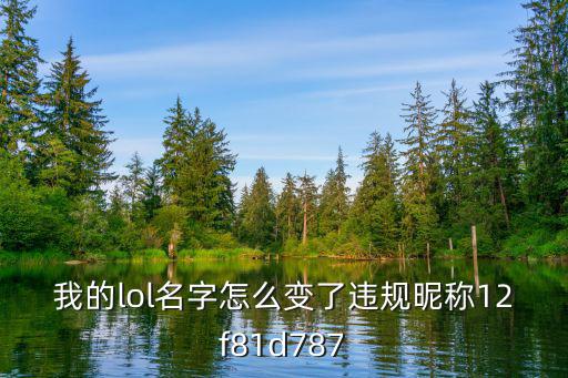 我的lol名字怎么变了违规昵称12f81d787