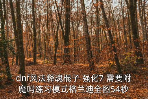 dnf风法释魂棍子 强化7 需要附魔吗练习模式格兰迪全图54秒