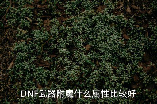 DNF武器附魔什么属性比较好