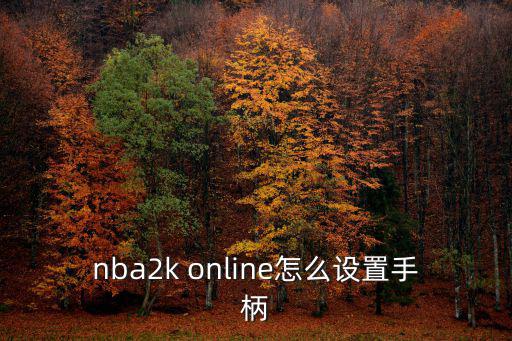 nba2k online怎么设置手柄