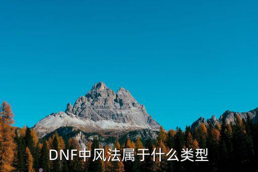 DNF中风法属于什么类型