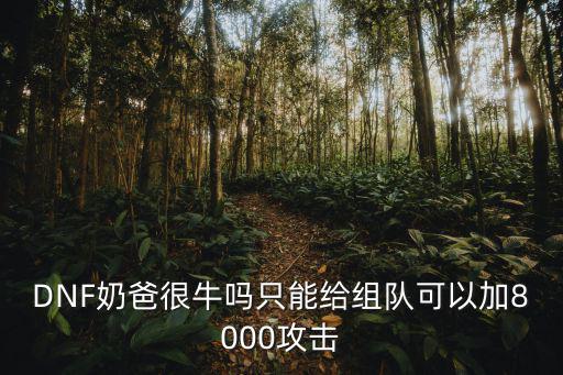 DNF奶爸有什么属性攻击，DNF奶爸很牛吗只能给组队可以加8000攻击