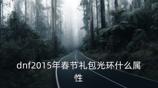 dnf过年光环什么属性，dnf2015春节时装光环属性怎么样