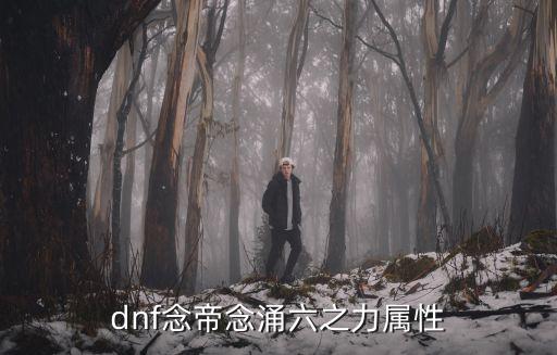 dnf念帝走什么属性，DNF念帝一般推什么属性