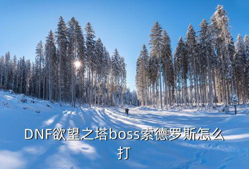 DNF欲望之塔boss索德罗斯怎么打