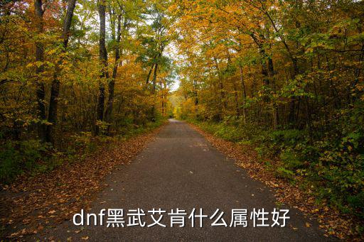 dnf黑武艾肯什么属性好