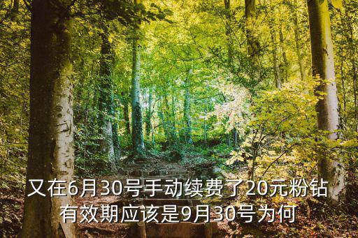 又在6月30号手动续费了20元粉钻有效期应该是9月30号为何