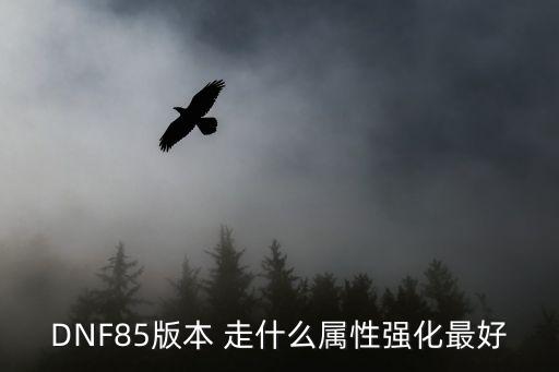 dnf奶萝走什么属性强化，DNF85版本 走什么属性强化最好