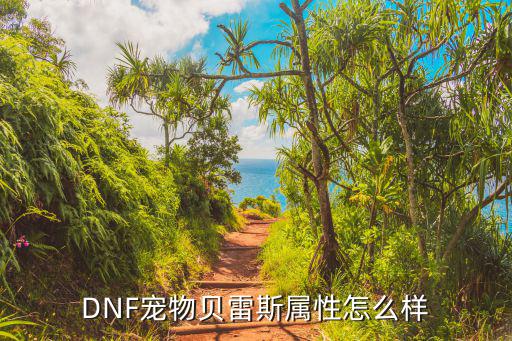 dnf宠物贝雷斯什么属性，dnf宠物贝蕾斯属性