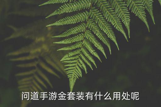 问道手游金睛怎么用，手游问道火眼金睛后面有什么活动要用