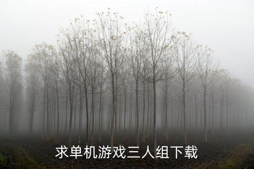 求单机游戏三人组下载