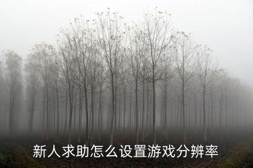 新人求助怎么设置游戏分辨率