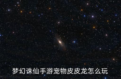 梦幻诛仙手游宠物皮皮龙怎么玩