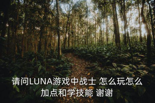 请问LUNA游戏中战士 怎么玩怎么加点和学技能 谢谢