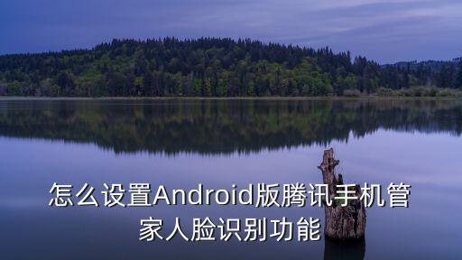 腾讯手游助手怎么完成人脸识别，怎么设置Android版腾讯手机管家人脸识别功能