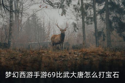 梦幻西游手游69比武大唐怎么打宝石