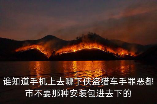 谁知道手机上去哪下侠盗猎车手罪恶都市不要那种安装包进去下的