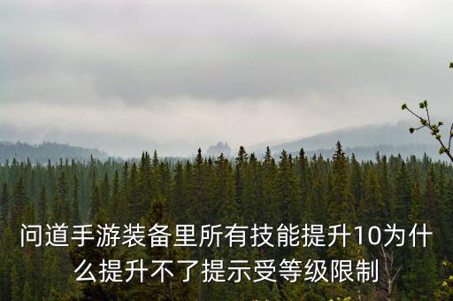 问道手游装备里所有技能提升10为什么提升不了提示受等级限制