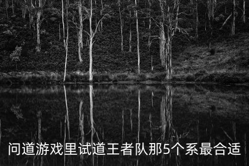 问道游戏里试道王者队那5个系最合适