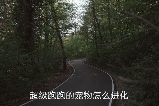 超级跑跑的宠物怎么进化