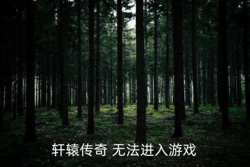 轩辕传奇 无法进入游戏