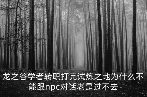 龙之谷学者转职打完试炼之地为什么不能跟npc对话老是过不去