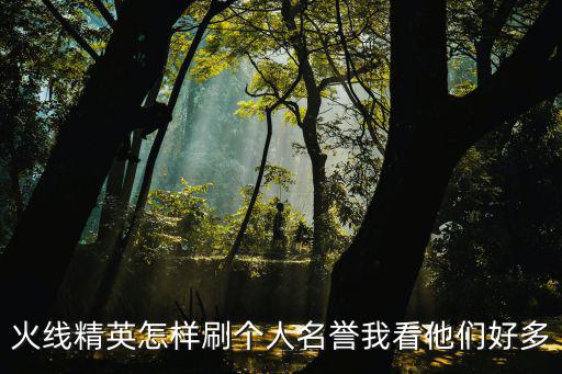 火线精英怎样刷个人名誉我看他们好多