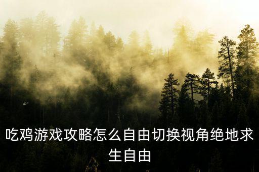 吃鸡游戏攻略怎么自由切换视角绝地求生自由