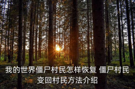 我的世界僵尸村民怎样恢复 僵尸村民变回村民方法介绍