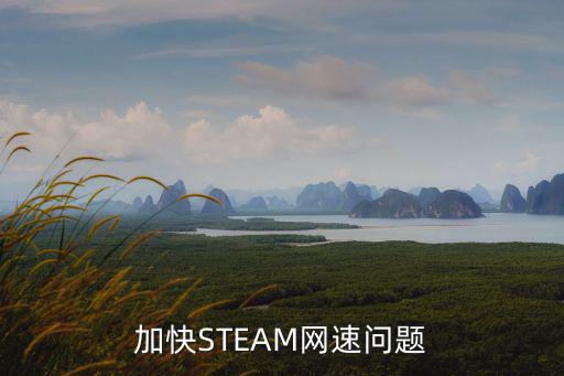 手游steam怎么加速，steam下载游戏如何提速