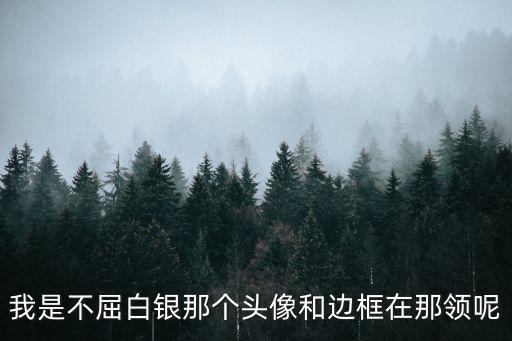 我是不屈白银那个头像和边框在那领呢